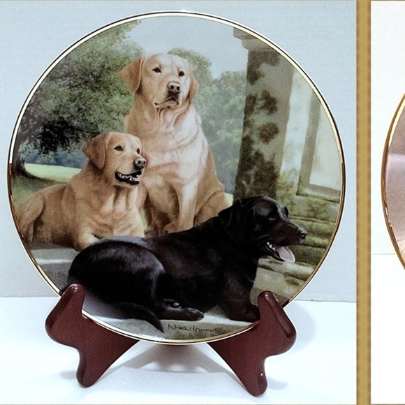 Nigel Hemming Plates Sporting & Canine Companion - Picture 5 of 6
